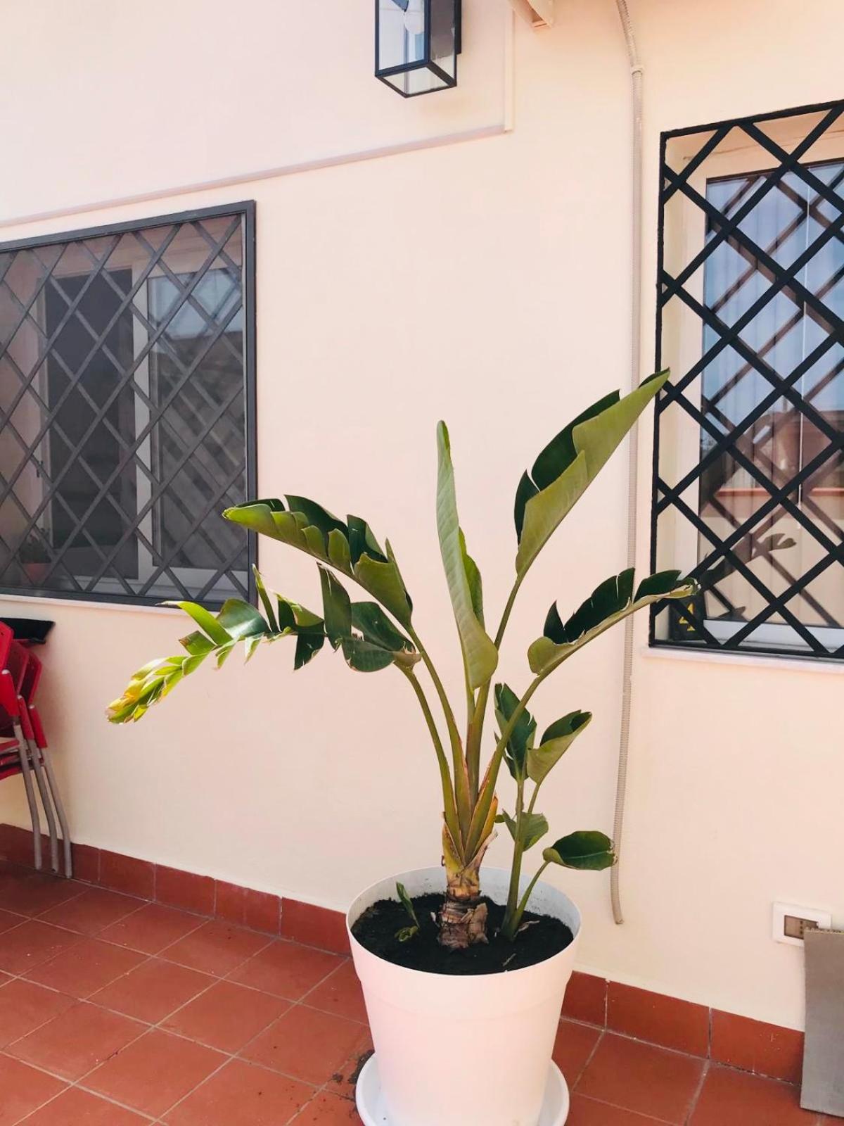Lavica Di Mezzo Apartments Catania Kültér fotó