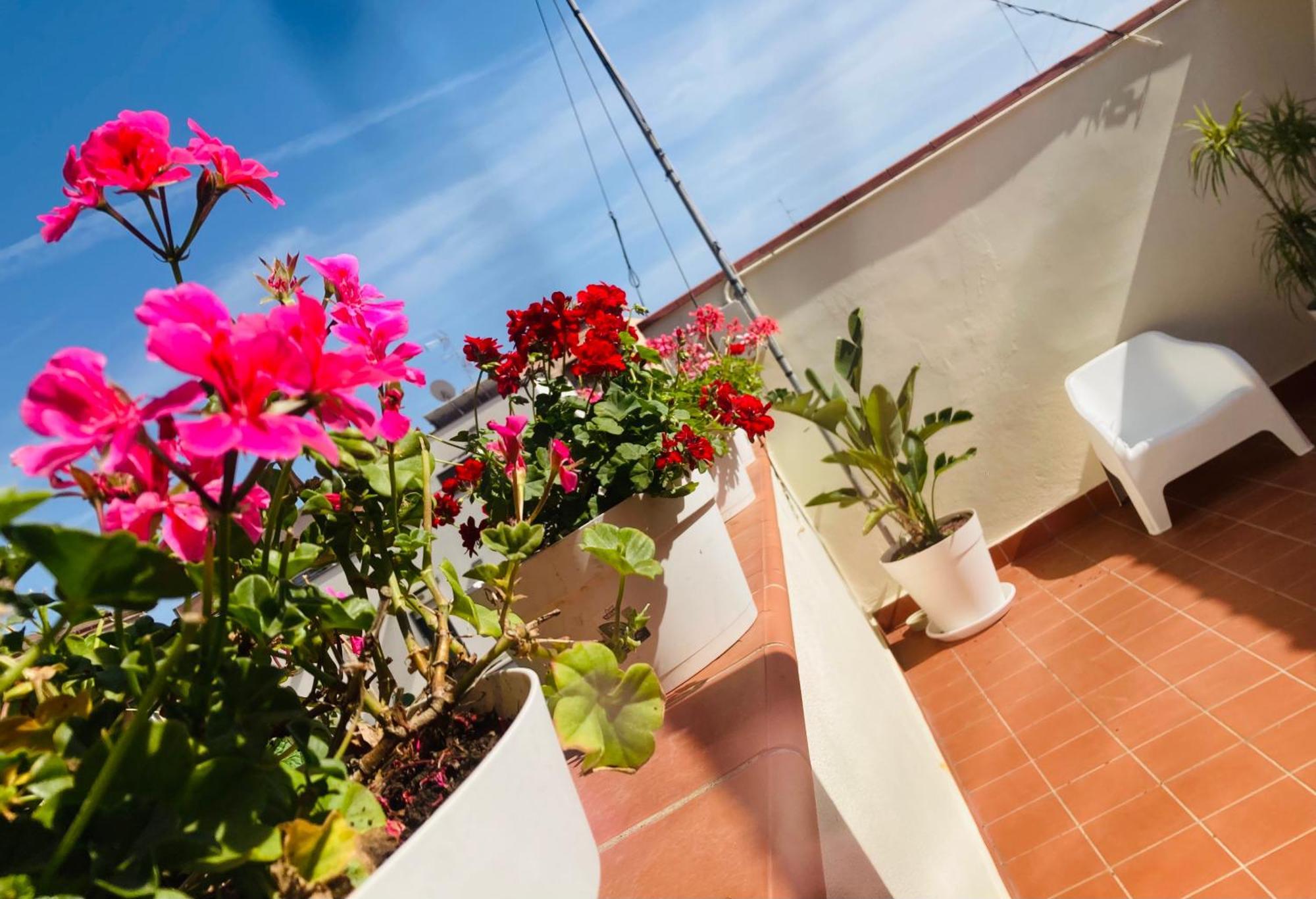 Lavica Di Mezzo Apartments Catania Kültér fotó